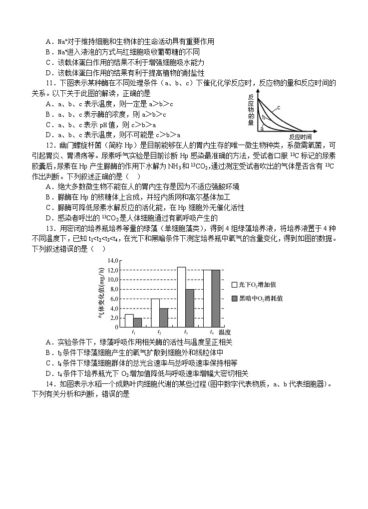 湖北省荆州中学2021届高三8月月考 生物（word版含答案）第3页
