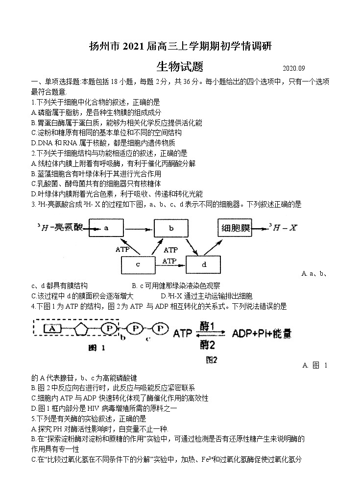 江苏省扬州市2021届高三上学期期初学情调研 生物（word版含答案） 试卷01