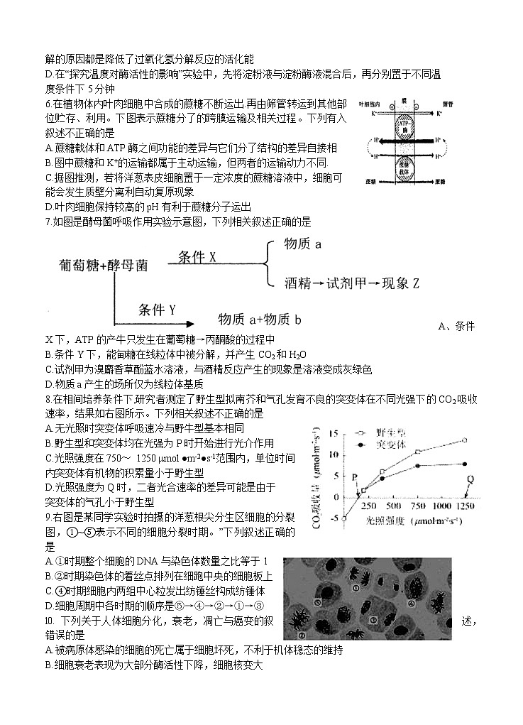 江苏省扬州市2021届高三上学期期初学情调研 生物（word版含答案） 试卷02