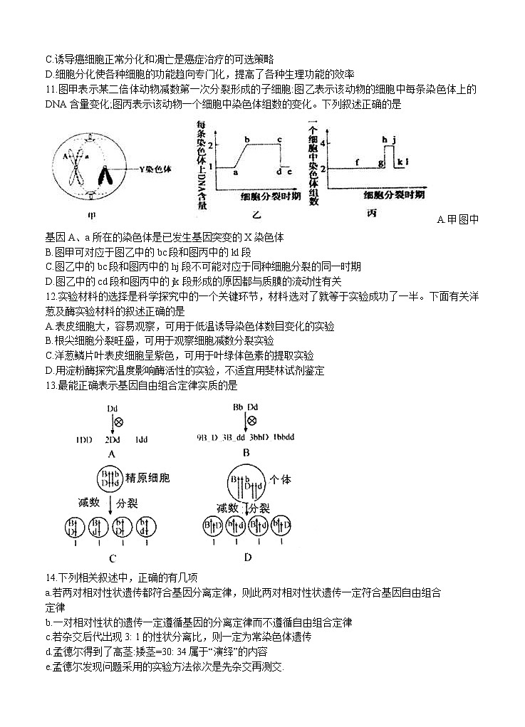 江苏省扬州市2021届高三上学期期初学情调研 生物（word版含答案） 试卷03