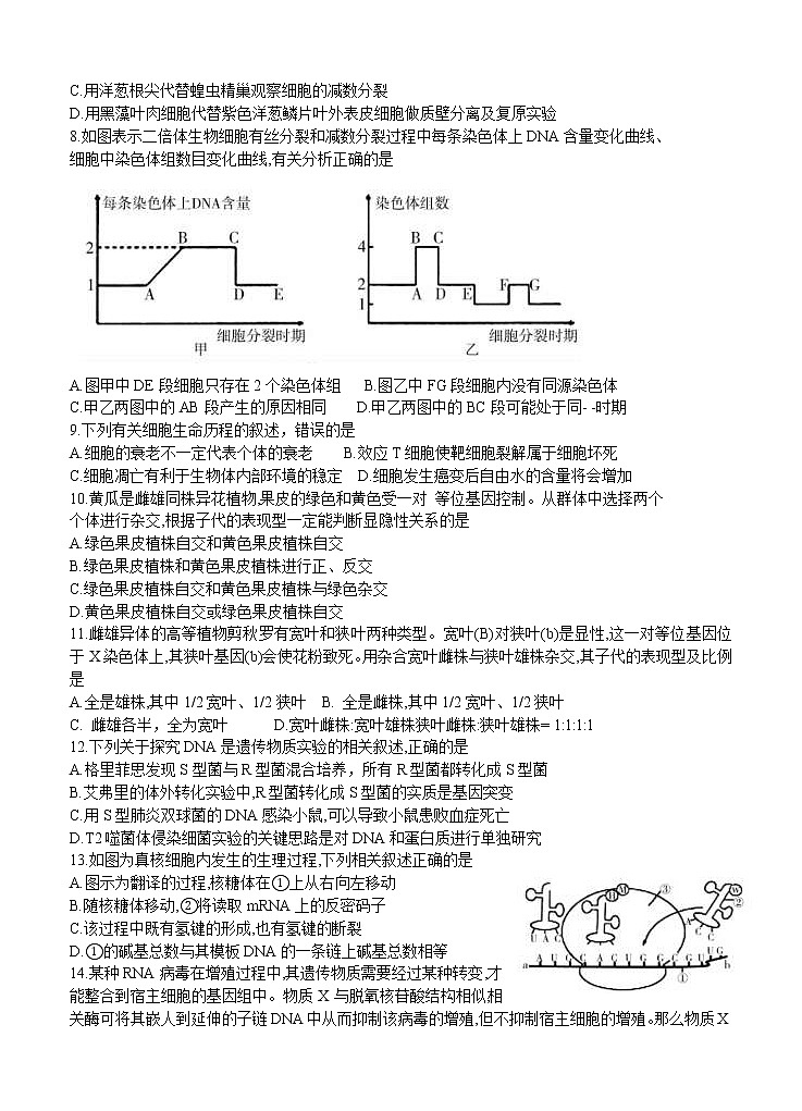 安徽省蚌埠市2021届高三上学期第一次质量监测（一模）生物（word版含答案）02