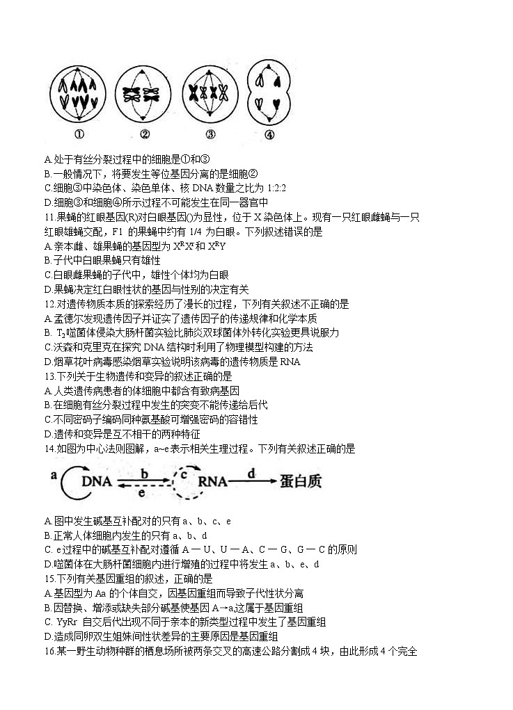 山西省大同市2021届高三上学期学情调研测试 生物（含答案）03