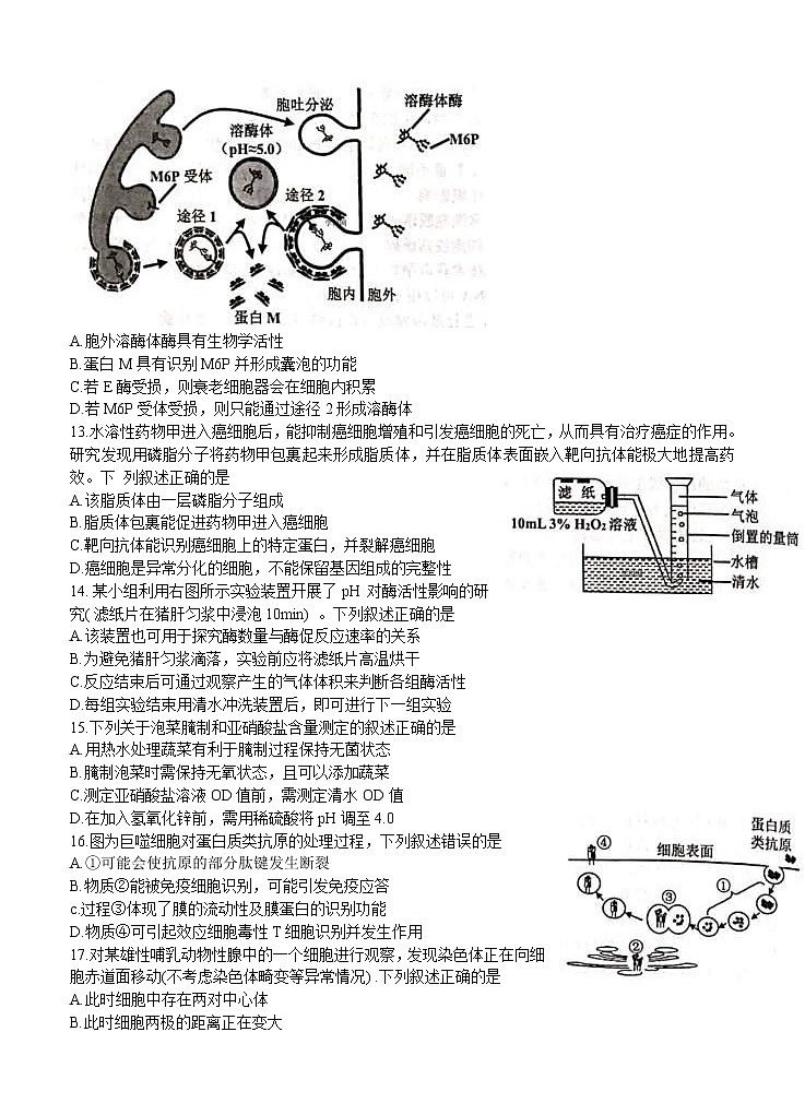 浙江省名校新高考研究联盟（Z20名校联盟）2021届高三第一次联考 生物（含答案） 试卷03