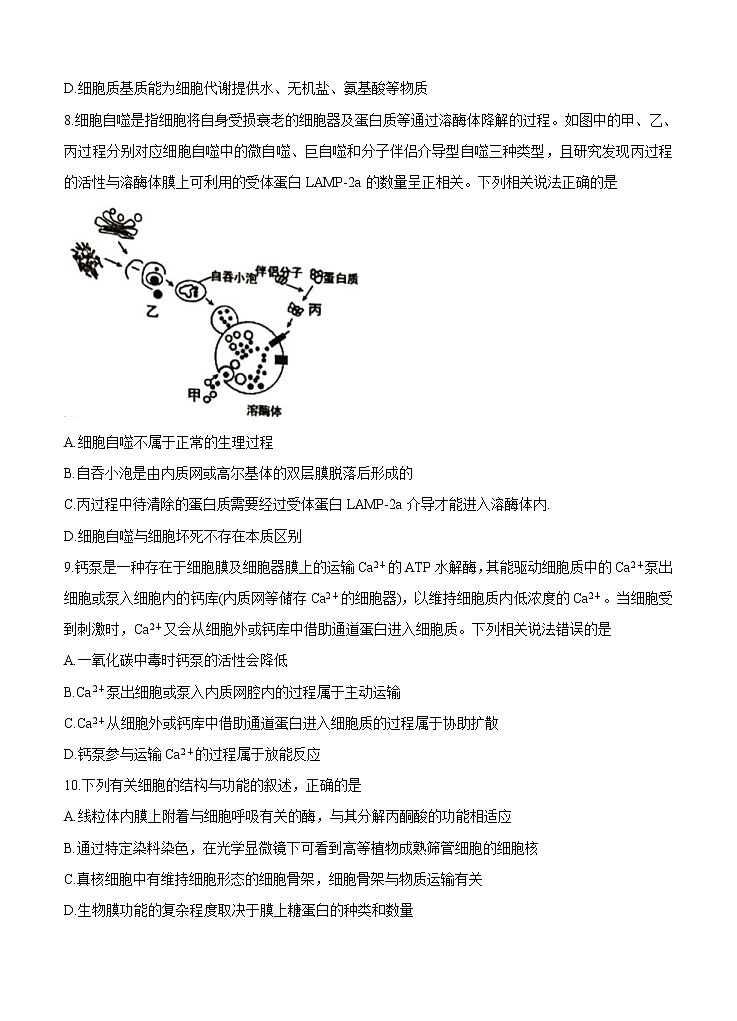 辽宁省锦州市渤大附中、育明高中2021届高三上学期第一次联考试题 生物（含答案）03
