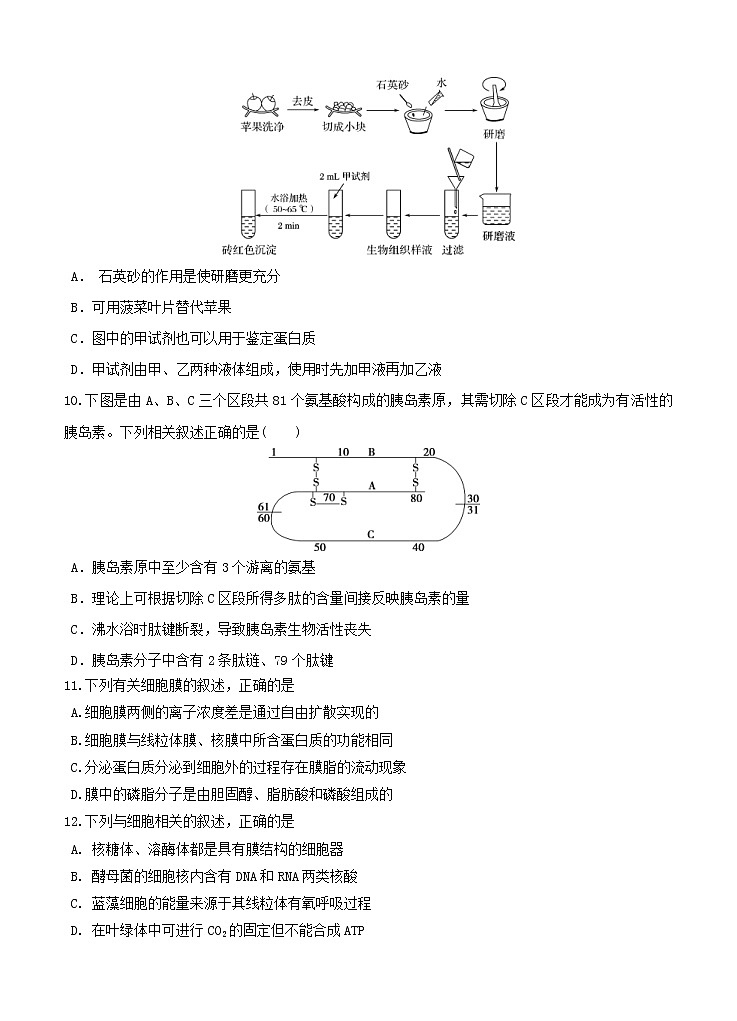 黑龙江省哈尔滨市第六中学校2021届高三上学期开学考试 生物（含答案）第3页