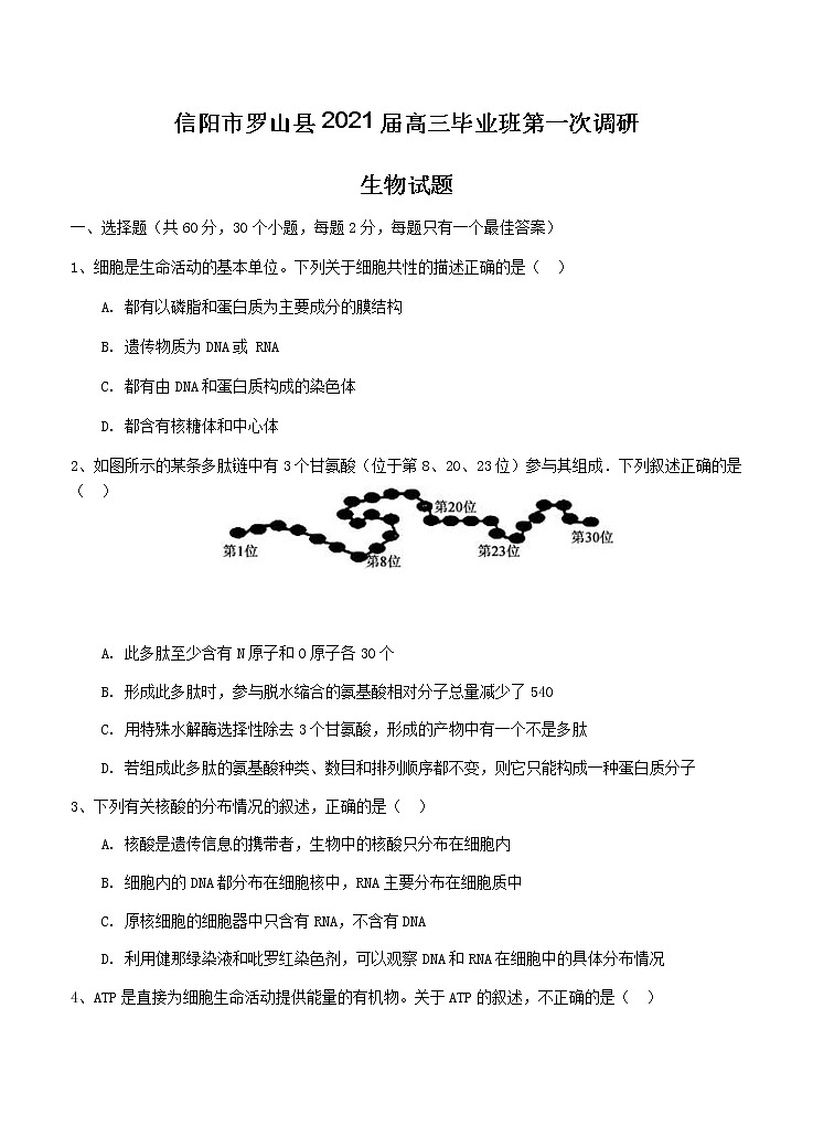 河南省信阳市罗山县2021届高三毕业班第一次调研 生物（含答案） 试卷01