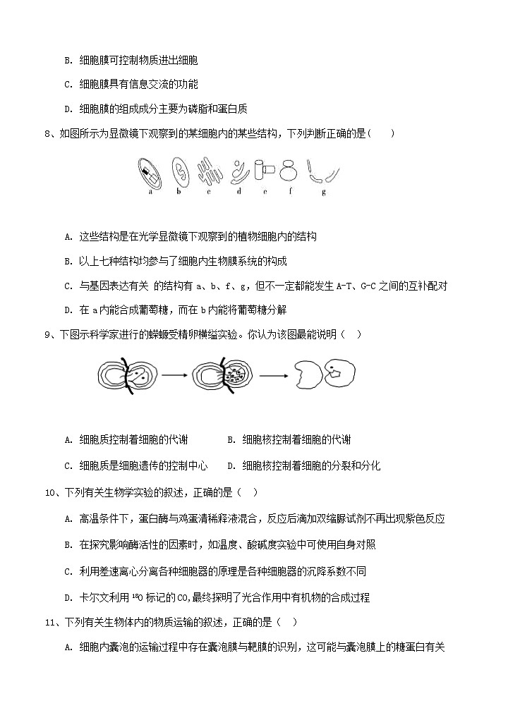 河南省信阳市罗山县2021届高三毕业班第一次调研 生物（含答案） 试卷03