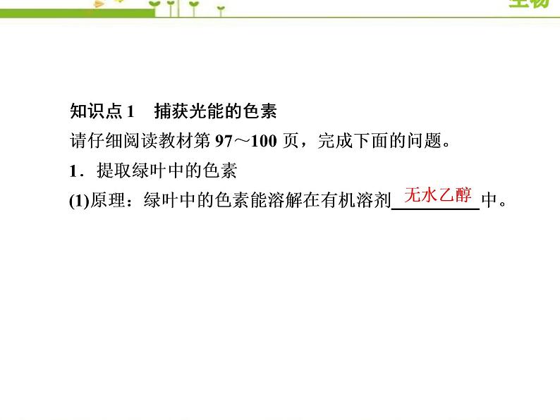 （新）人教版高中生物必修1教学课件：5-4-1捕获光能的色素和结构07