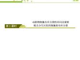（新）人教版高中生物必修1教学课件：6-1-2动植物细胞有丝分裂的异同及观察根尖分生区组织细胞的有丝分裂