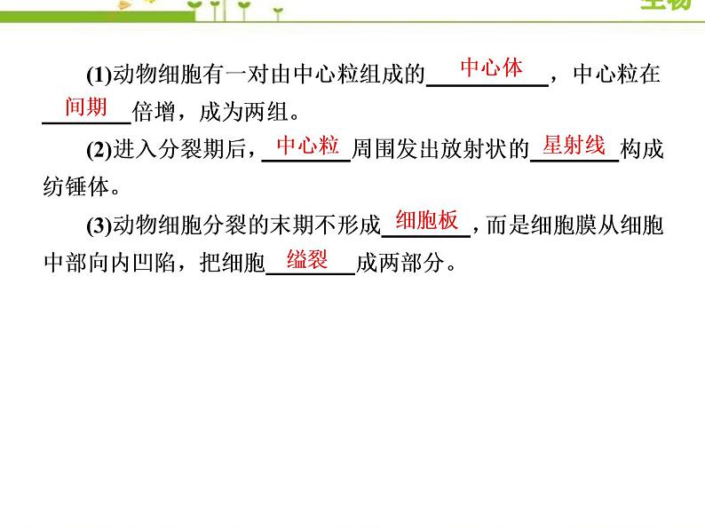 （新）人教版高中生物必修1教学课件：6-1-2动植物细胞有丝分裂的异同及观察根尖分生区组织细胞的有丝分裂07