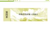 （新）人教版高中生物必修1教学课件：4-1被动运输
