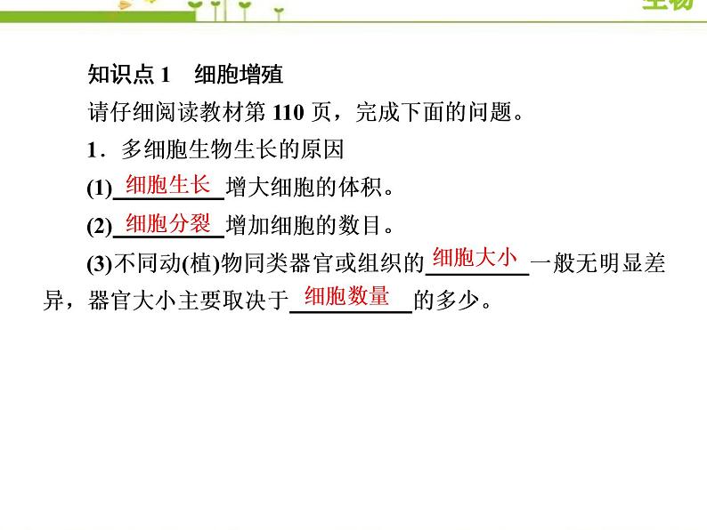 （新）人教版高中生物必修1教学课件：6-1-1细胞周期及高等植物细胞的有丝分裂08