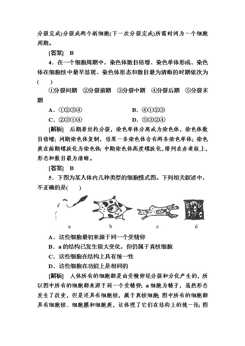 （新）人教版高中生物必修1单元质量检测：6　细胞的生命历程（含解析）03