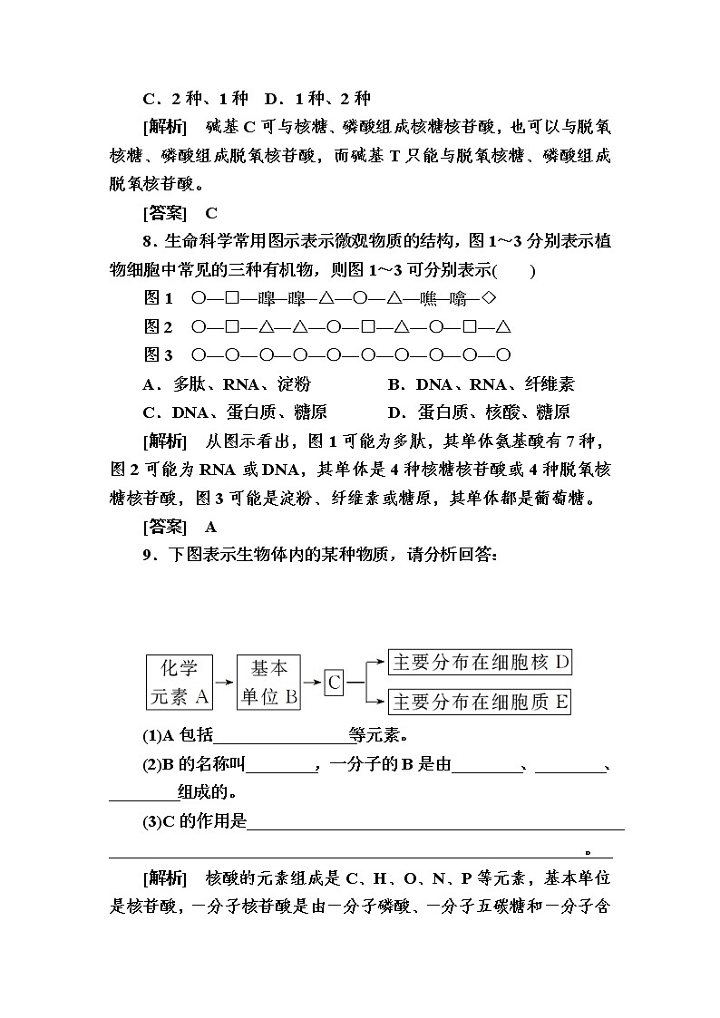 （新）人教版高中生物必修1课后作业：7核酸是遗传信息的携带者（含解析）03