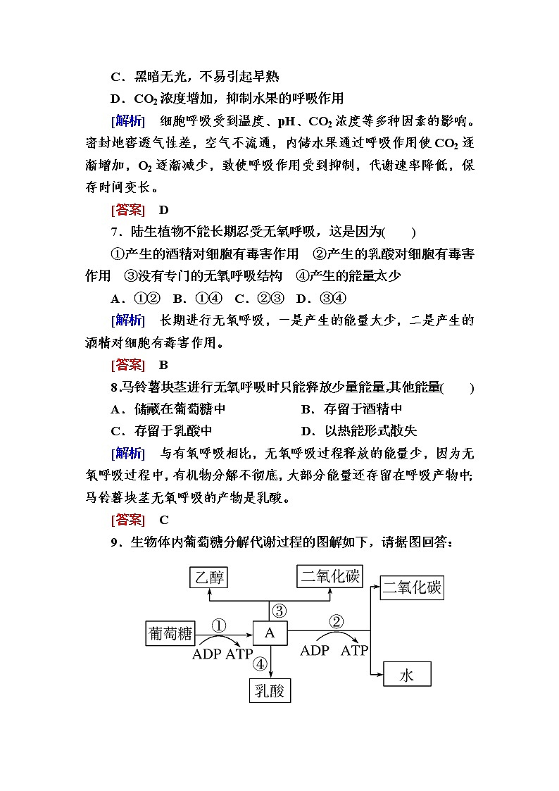 （新）人教版高中生物必修1课后作业：18无氧呼吸及细胞呼吸原理的应用（含解析）03