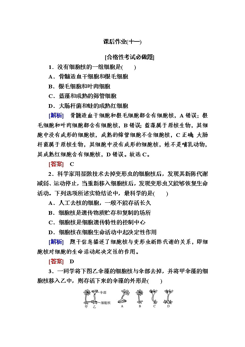 （新）人教版高中生物必修1课后作业：11细胞核的结构和功能（含解析）01