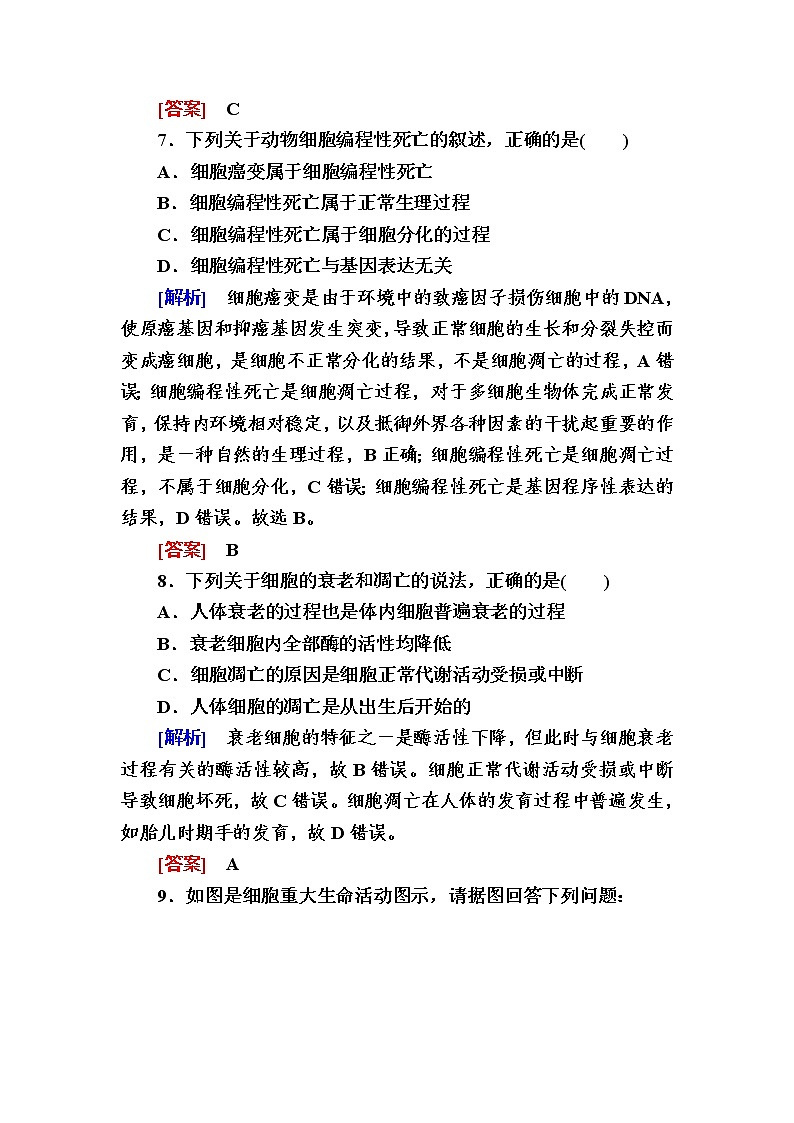 （新）人教版高中生物必修1课后作业：24细胞的衰老和死亡（含解析）03