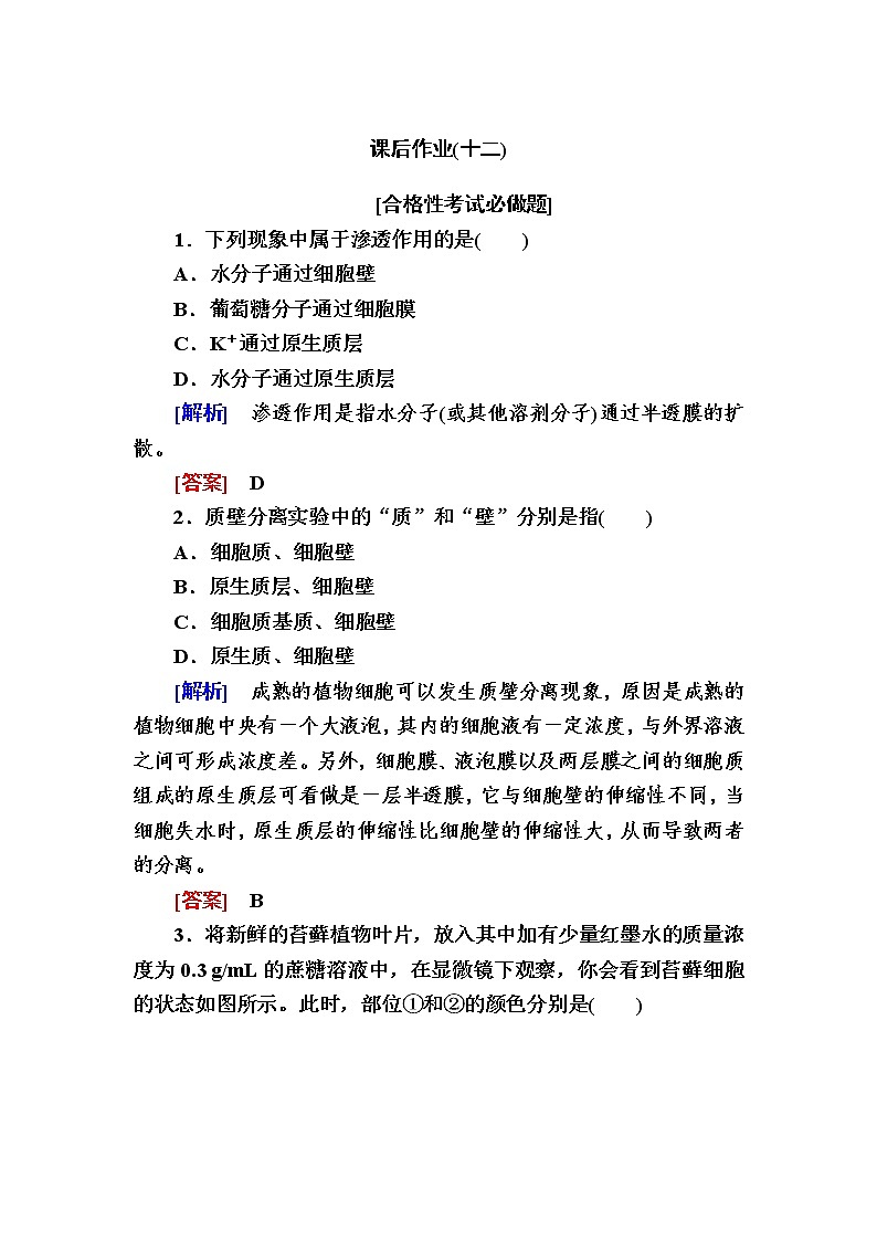 （新）人教版高中生物必修1课后作业：12被动运输（含解析）01