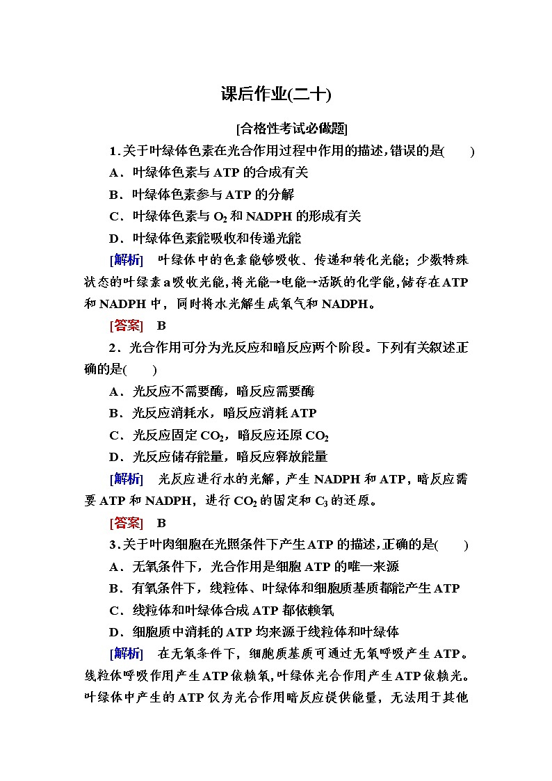 （新）人教版高中生物必修1课后作业：20光合作用的原理和应用（含解析）01