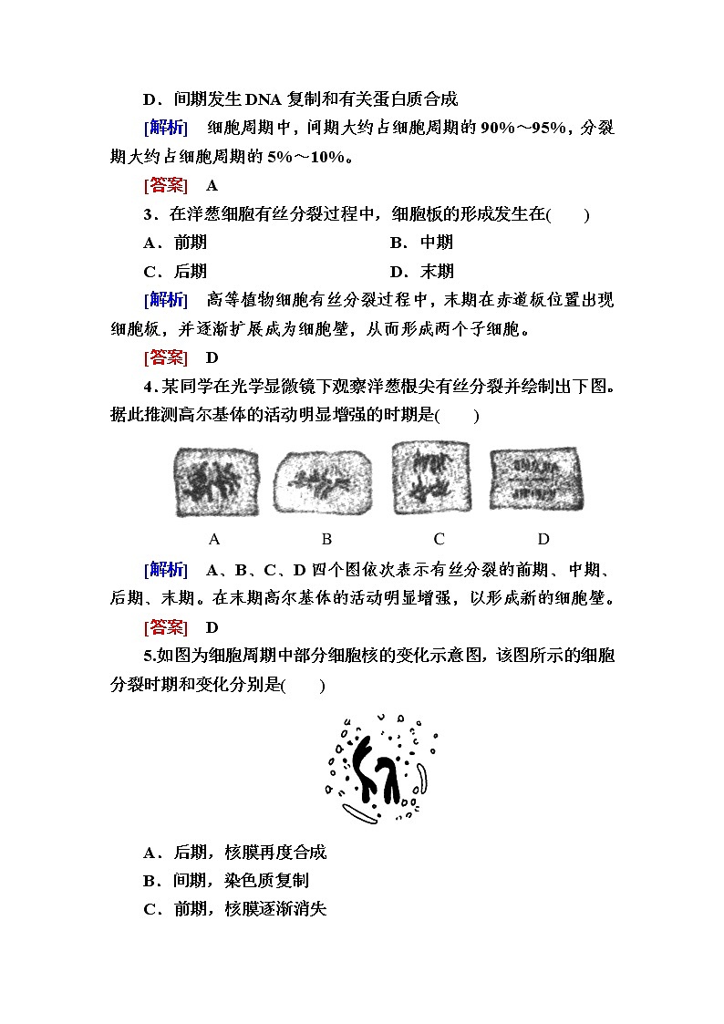 （新）人教版高中生物必修1课后作业：21细胞周期及高等植物细胞的有丝分裂（含解析）02