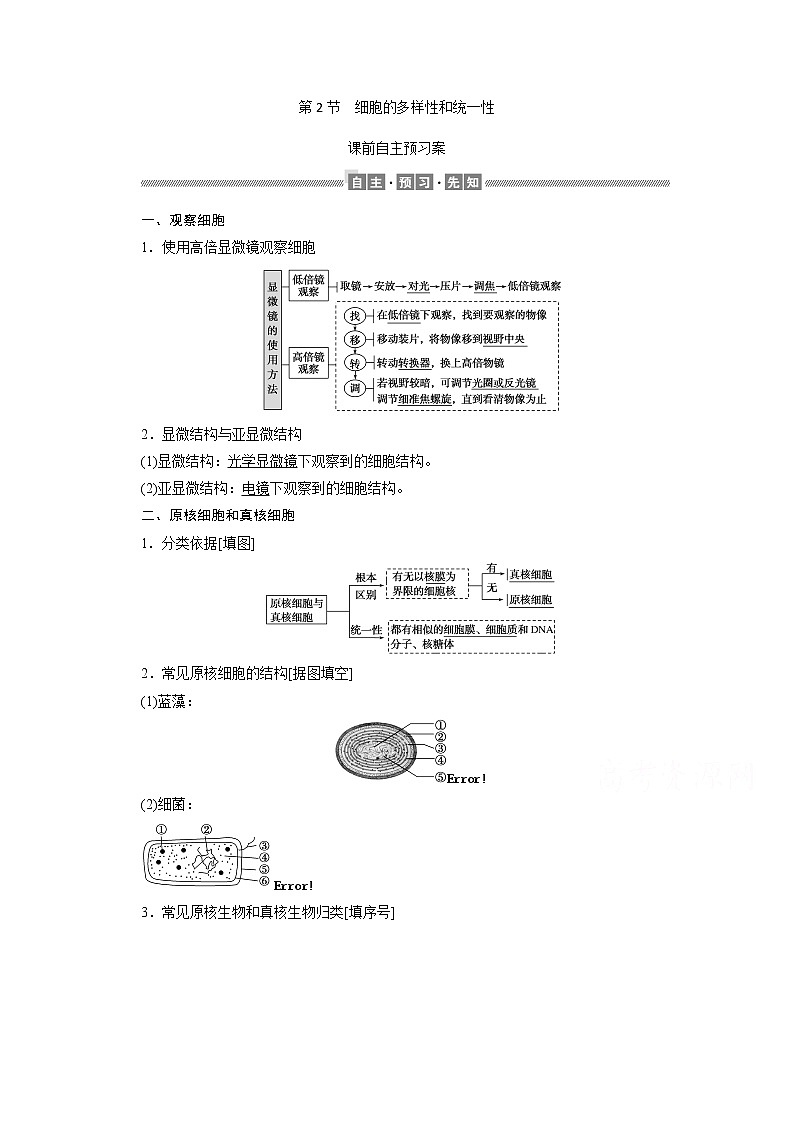 （新）人教版高中生物必修1学案：1.2 细胞的多样性和统一性（含解析）01
