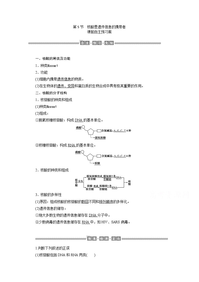（新）人教版高中生物必修1学案：2.5 核酸是遗传信息的携带者（含解析）01