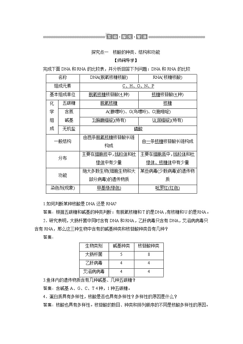 （新）人教版高中生物必修1学案：2.5 核酸是遗传信息的携带者（含解析）03