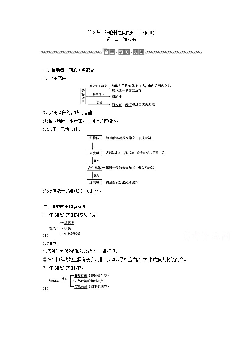 （新）人教版高中生物必修1学案：3.2 细胞器之间的分工合作（Ⅱ）（含解析）01