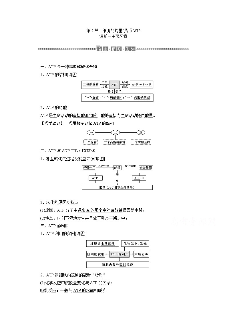 （新）人教版高中生物必修1学案：5.2 细胞的能量“货币”ATP（含解析）01