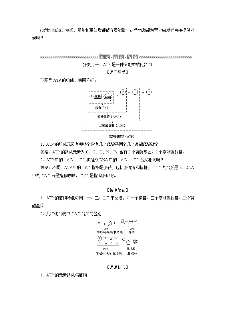 （新）人教版高中生物必修1学案：5.2 细胞的能量“货币”ATP（含解析）03