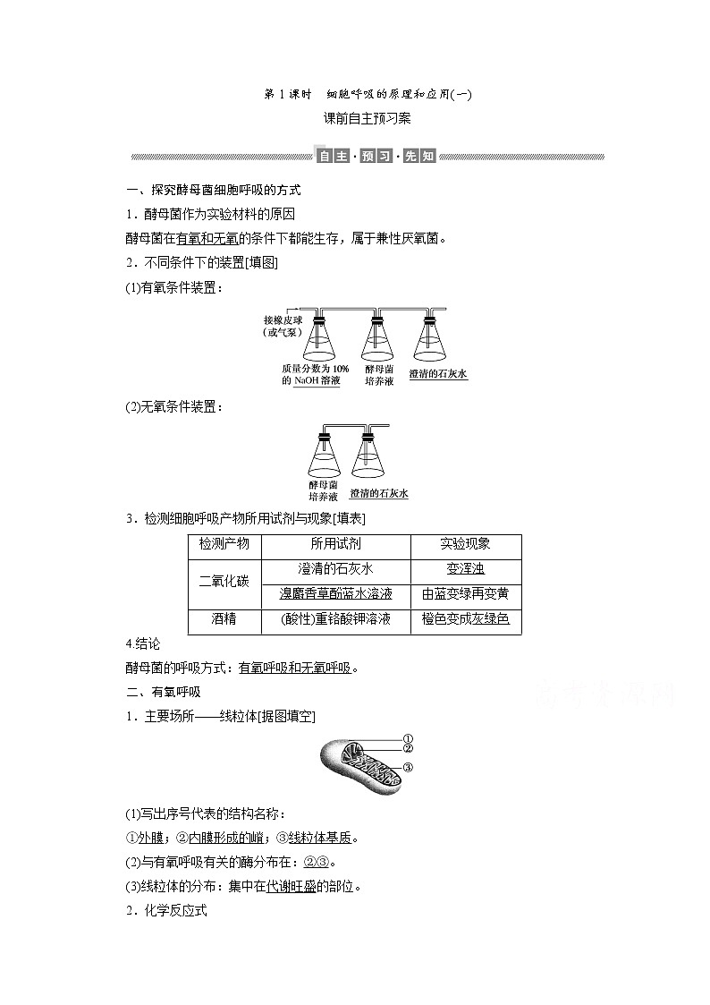 （新）人教版高中生物必修1学案：5.3.1 细胞呼吸的原理和应用（一）（含解析）01
