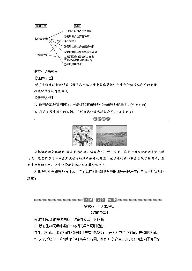 （新）人教版高中生物必修1学案：5.3.2 细胞呼吸的原理和应用（二）（含解析）02