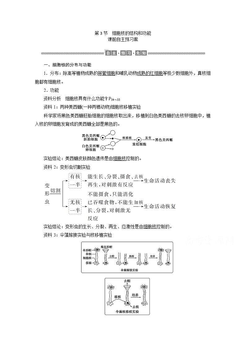 （新）人教版高中生物必修1学案：3.3 细胞核的结构和功能（含解析）01