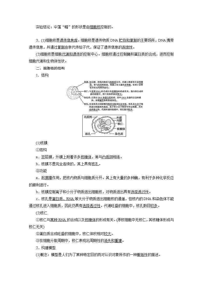 （新）人教版高中生物必修1学案：3.3 细胞核的结构和功能（含解析）02
