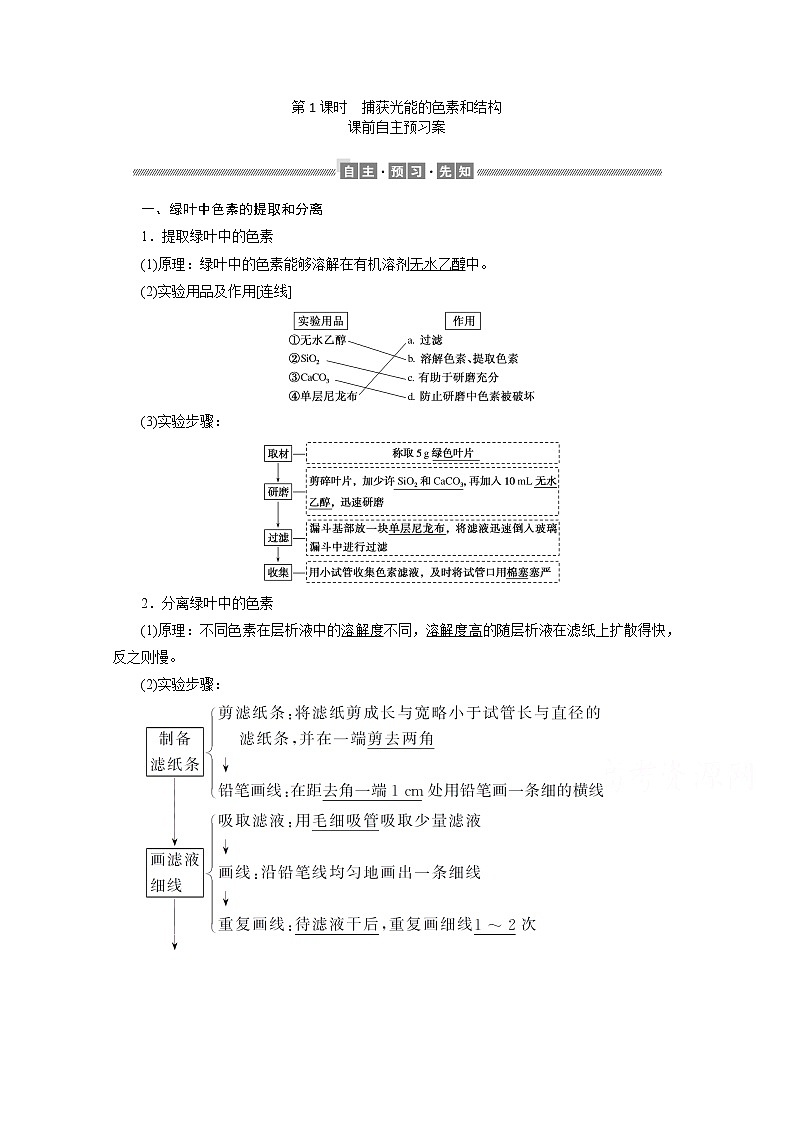 （新）人教版高中生物必修1学案：5.4.1 捕获光能的色素和结构（含解析）01