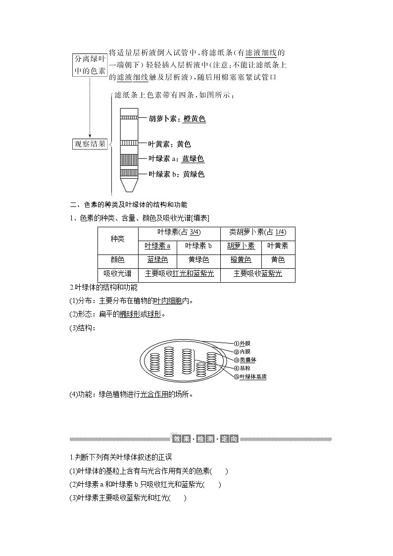 （新）人教版高中生物必修1学案：5.4.1 捕获光能的色素和结构（含解析）02