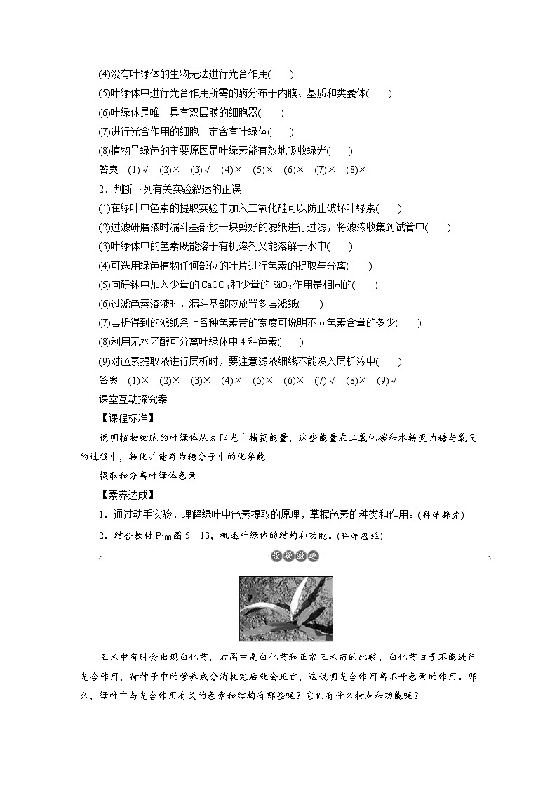 （新）人教版高中生物必修1学案：5.4.1 捕获光能的色素和结构（含解析）03