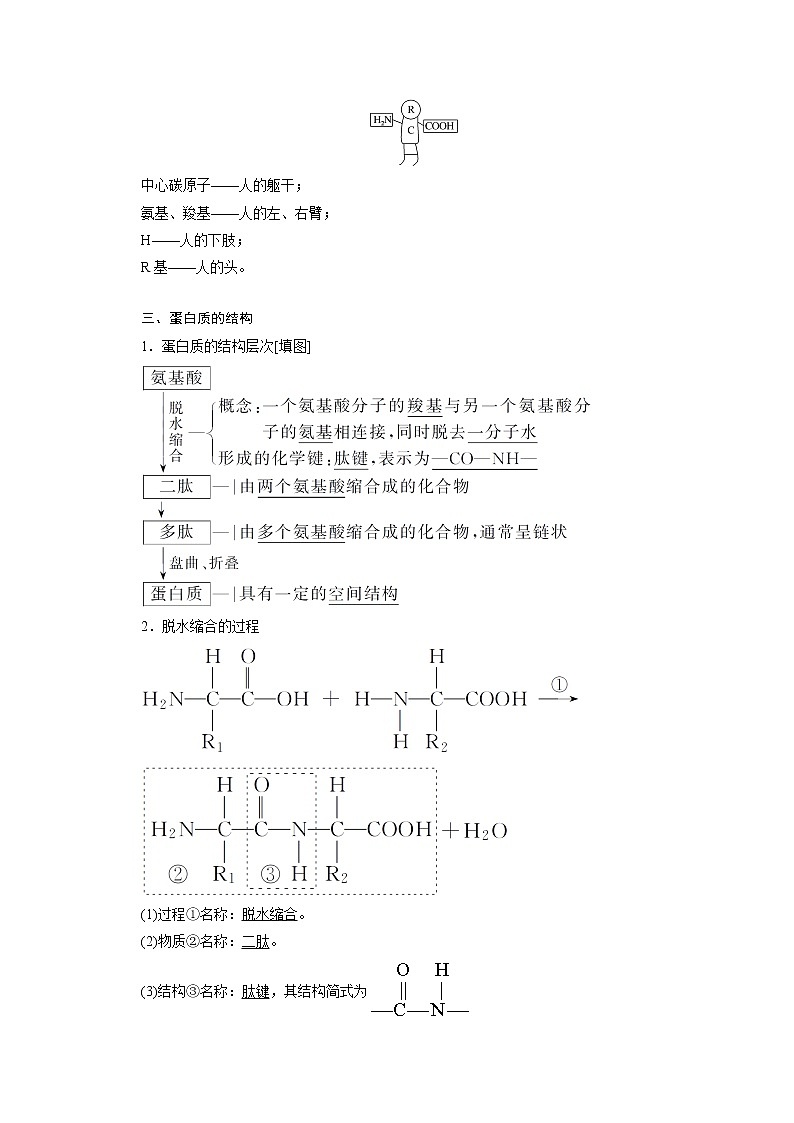 （新）人教版高中生物必修1学案：2.4 蛋白质是生命活动的主要承担者（含解析）02
