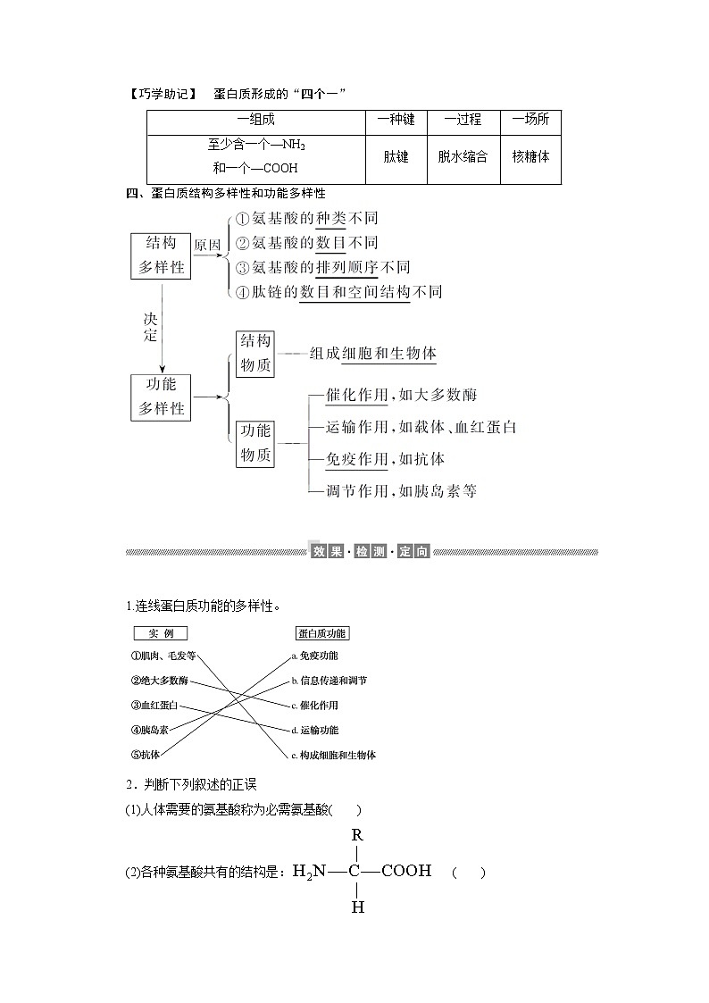 （新）人教版高中生物必修1学案：2.4 蛋白质是生命活动的主要承担者（含解析）03
