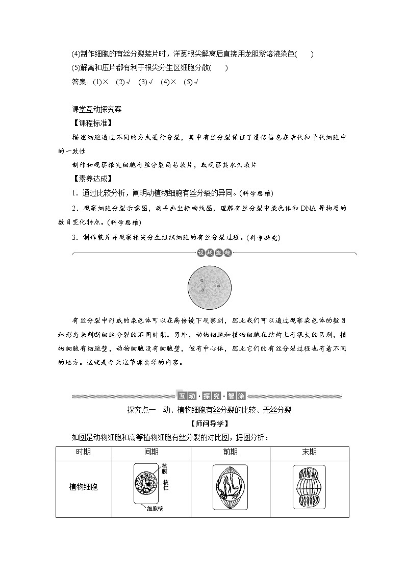 （新）人教版高中生物必修1学案：6.1.2 动植物细胞有丝分裂的区别和观察有丝分裂实验（含解析）03
