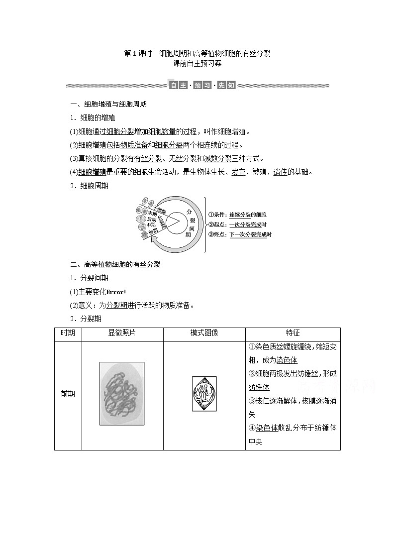 （新）人教版高中生物必修1学案：6.1.1 细胞周期和高等植物细胞的有丝分裂（含解析）01