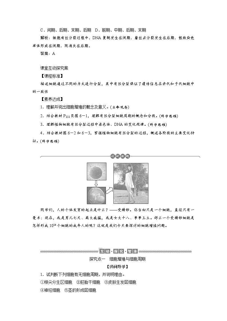 （新）人教版高中生物必修1学案：6.1.1 细胞周期和高等植物细胞的有丝分裂（含解析）03