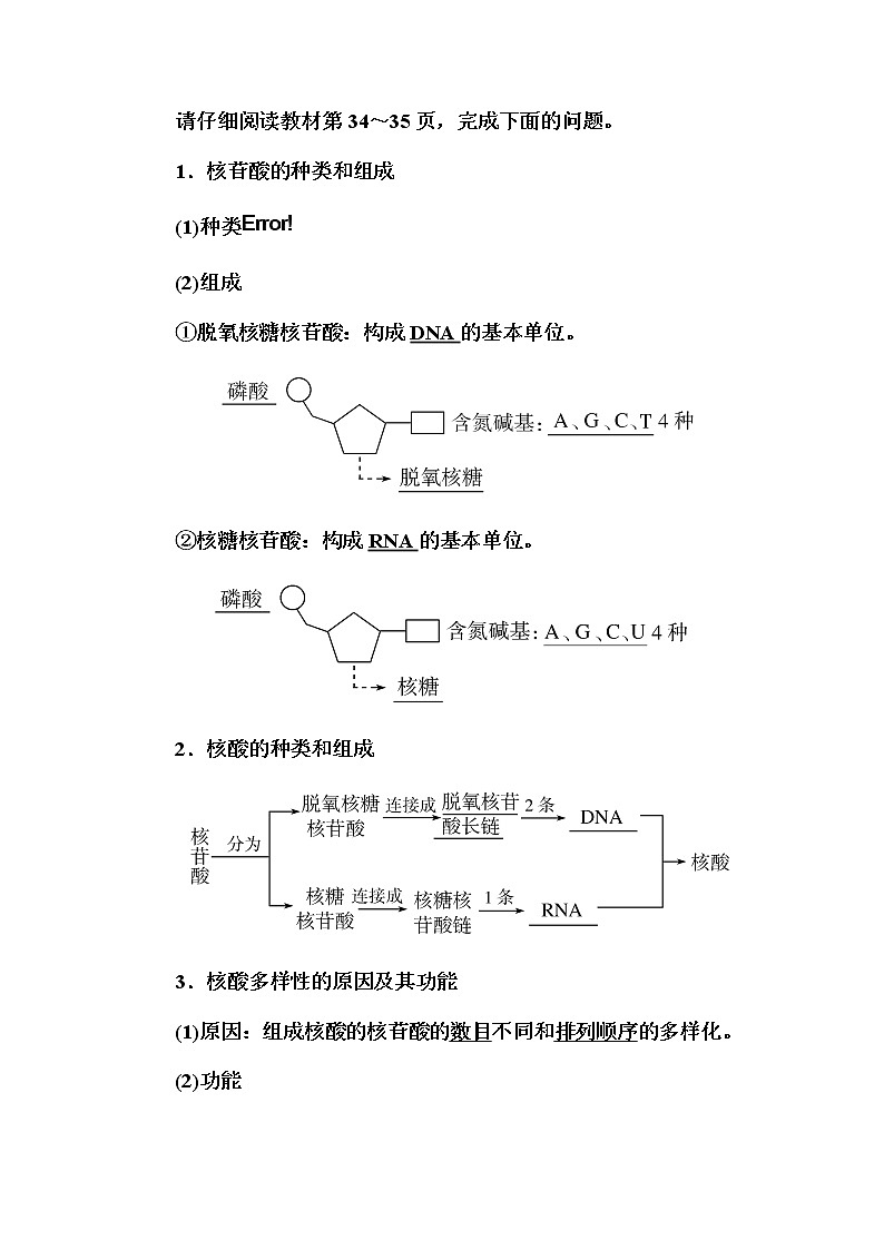 （新）人教版高中生物必修1教学讲义：2-5核酸是遗传信息的携带者02