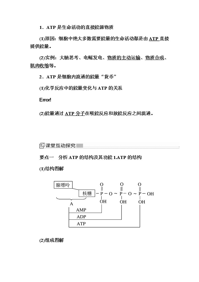 （新）人教版高中生物必修1教学讲义：5-2细胞的能量“货币”ATP03