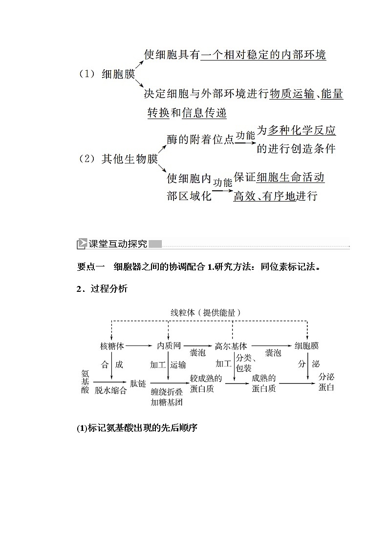 （新）人教版高中生物必修1教学讲义：3-2-2细胞器之间的协调配合03
