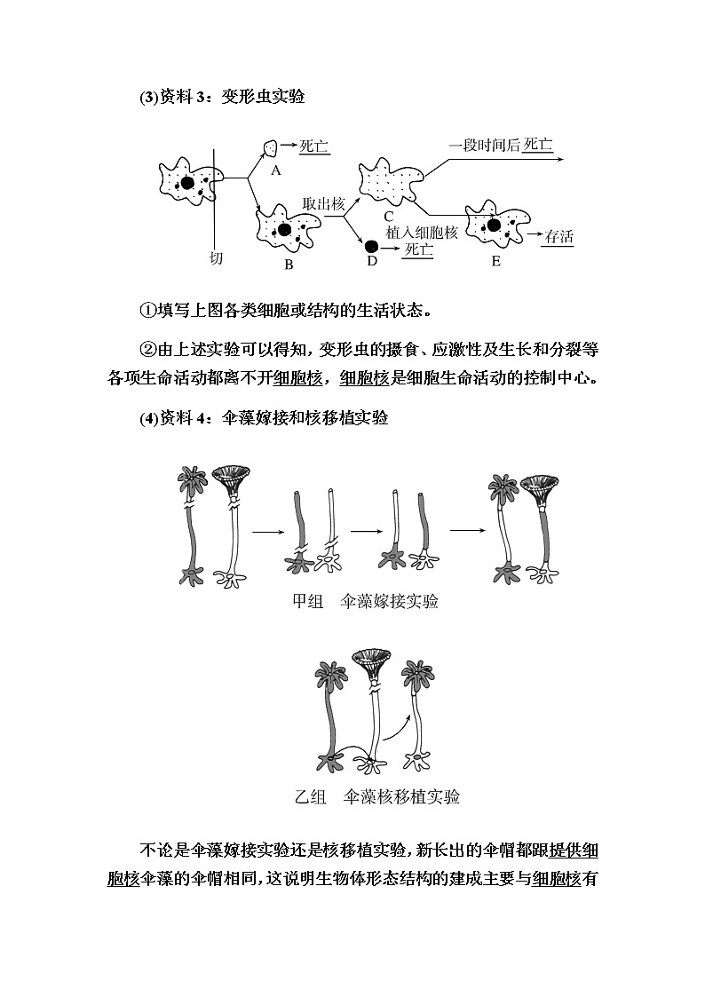（新）人教版高中生物必修1教学讲义：3-3细胞核的结构和功能03