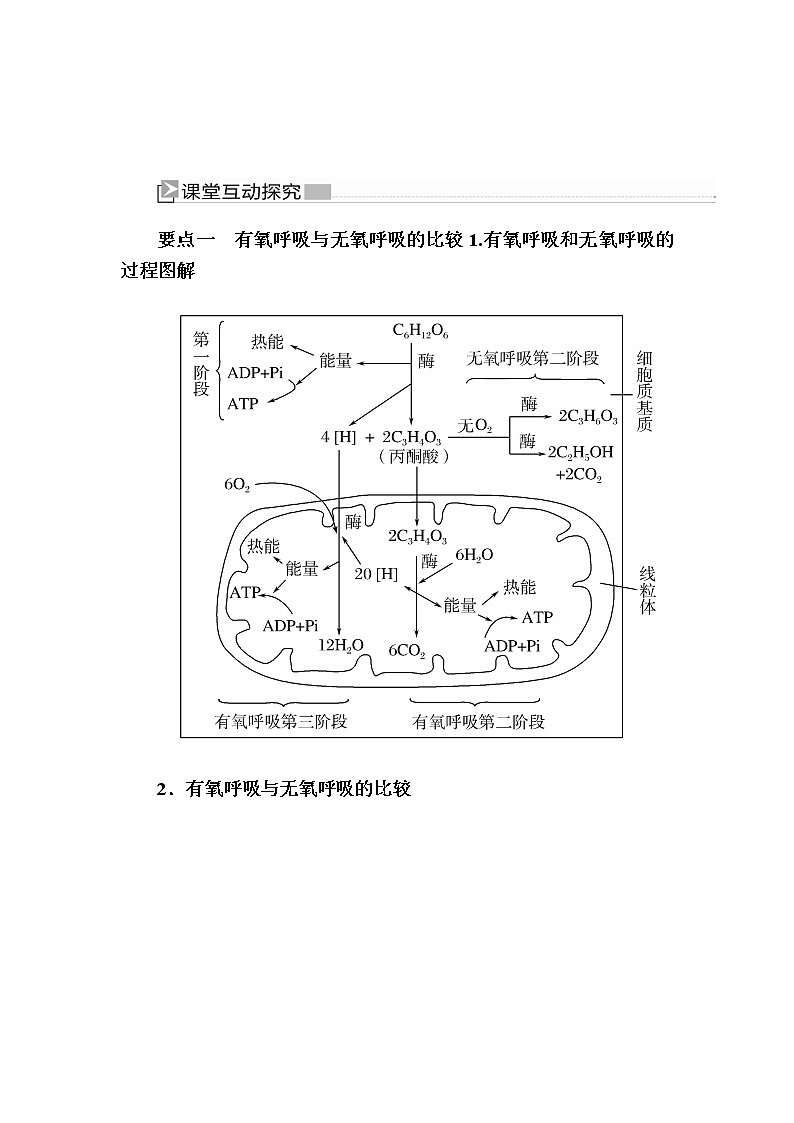 （新）人教版高中生物必修1教学讲义：5-3-2无氧呼吸及细胞呼吸原理的应用03