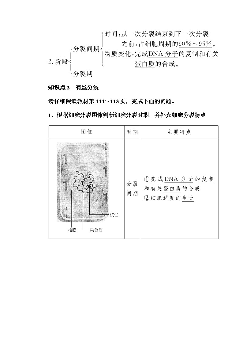 （新）人教版高中生物必修1教学讲义：6-1-1细胞周期及高等植物细胞的有丝分裂03