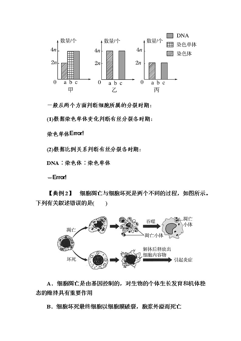 （新）人教版高中生物必修1教学讲义：章末整合提升6　细胞的生命历程03