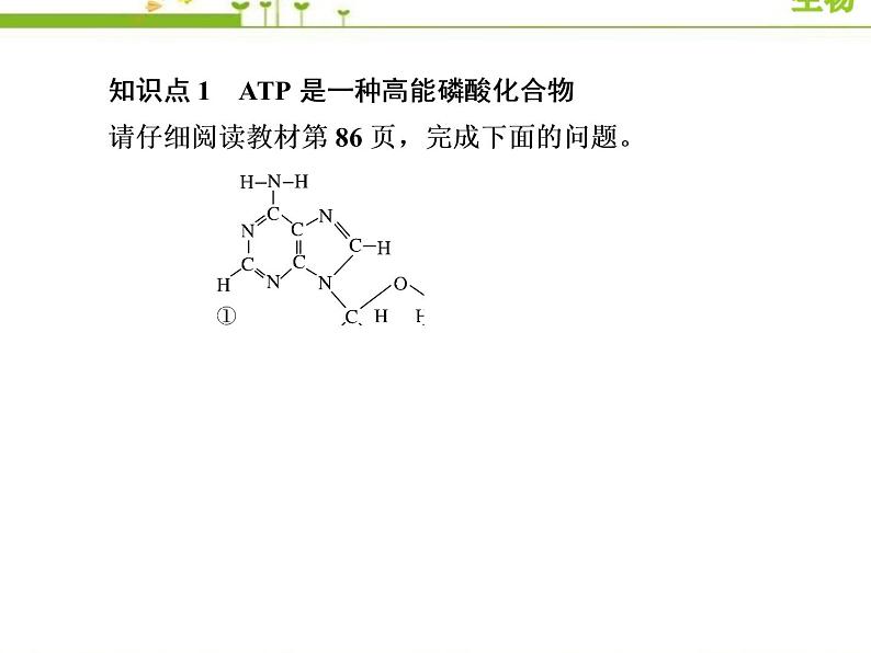 （新）人教版高中生物必修1教学课件：5-2细胞的能量“货币”ATP06